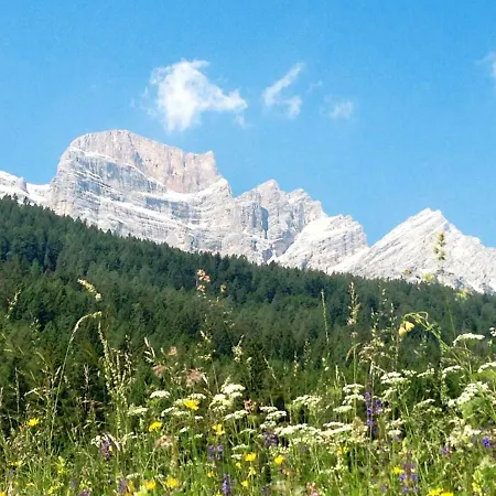Apartment Locazione Turistica Hermine I Borca di Cadore